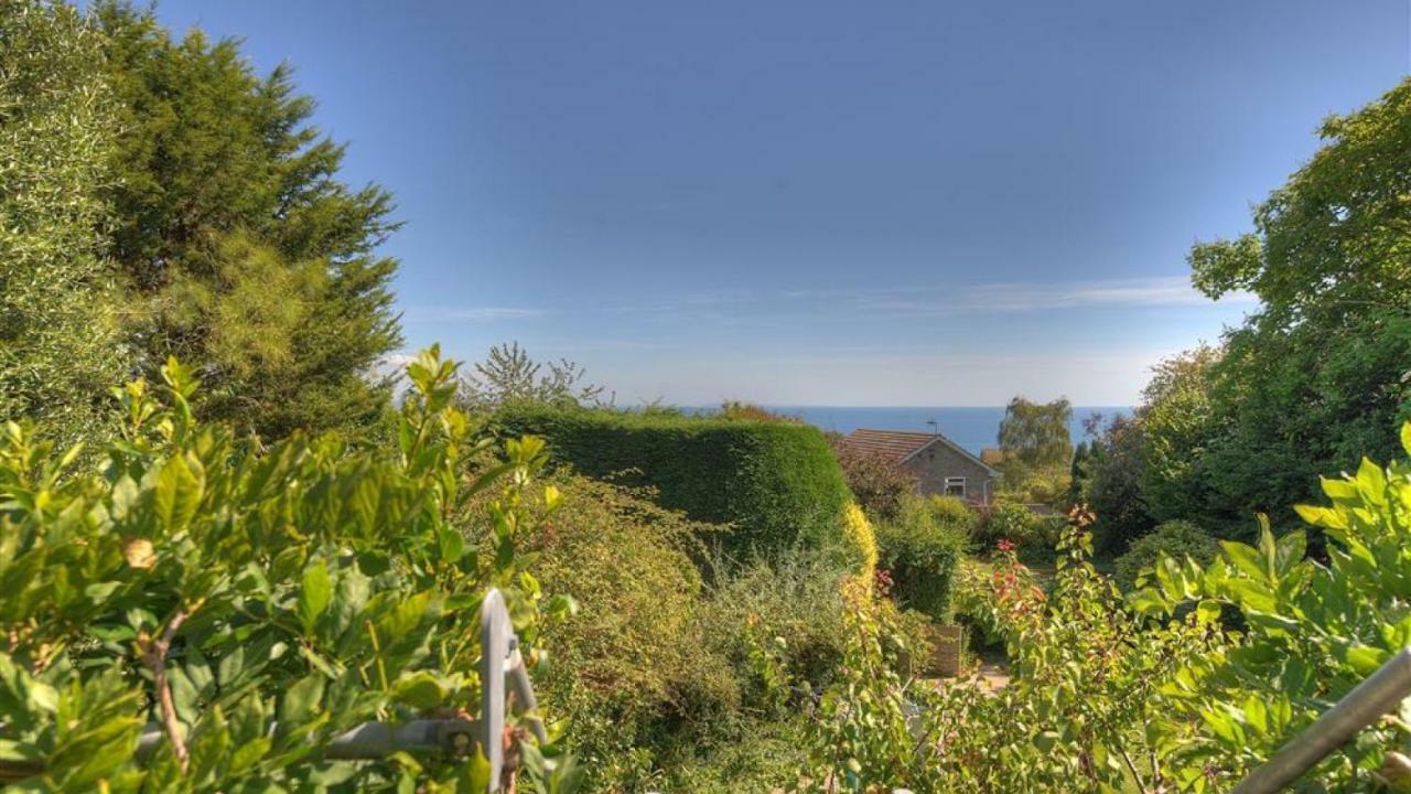 Little West Hill Studio Lyme Regis Extérieur photo